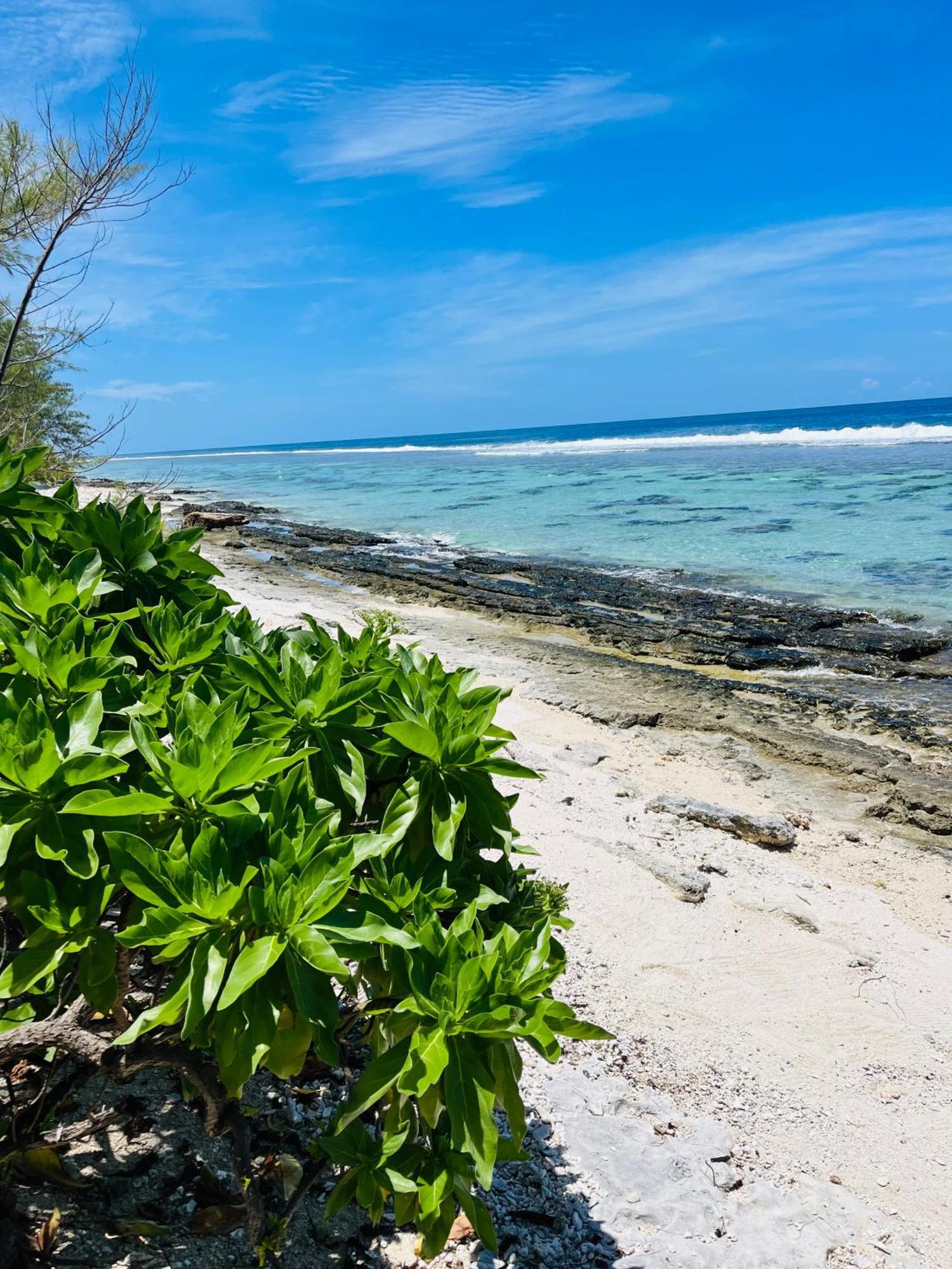 Bungalow Kura Moorea Extérieur photo